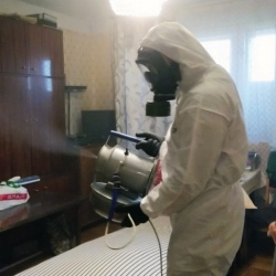 Дезинфекция от клопов в Старом Городке